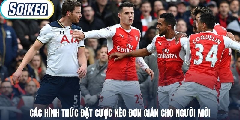 Các hình thức đặt cược kèo đơn giản cho người mới