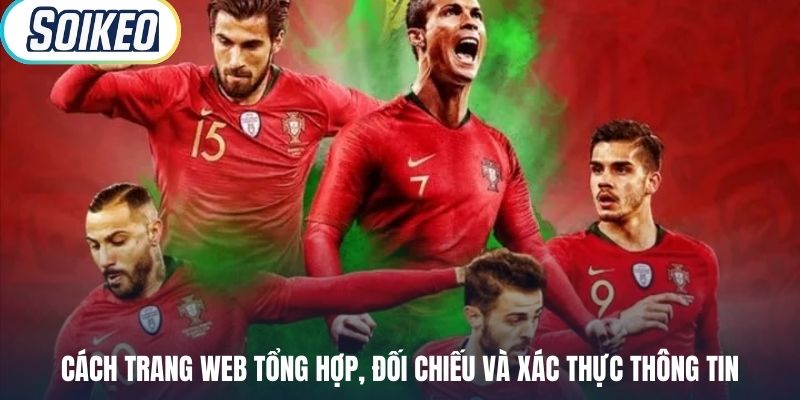 Cách trang web tổng hợp, đối chiếu và xác thực thông tin