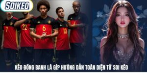 Kèo Đồng Banh Là Gì? Hướng Dẫn Toàn Diện Từ Soi Kèo