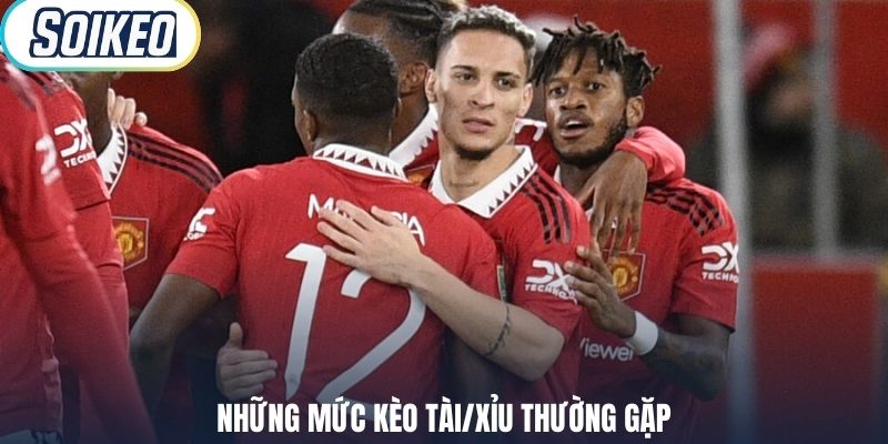 Những mức kèo Tài/Xỉu thường gặp